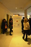 Poster session (1) ICEAPVI-2015