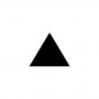 black up-pointing triangle