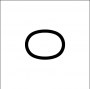 ellipse (oval) 